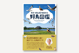 米子 水鳥公園の生態系と野鳥図鑑 